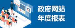 政府网站年度报表